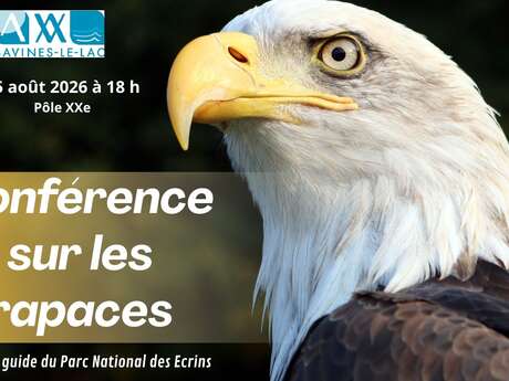 Conférence sur les Rapaces