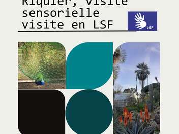 Focus : Le jardin Olbius Riquier, visite sensorielle visite en LSF