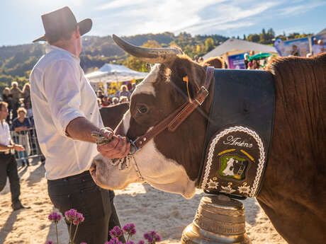 47th Agricultural Fair