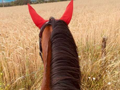 Stages d'équitation - Poney-club les Bréats