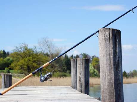 Stage ado coup feeder carpe (2 jours)