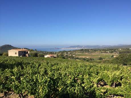 Balade Fontanieu-Pibarnon-St Côme