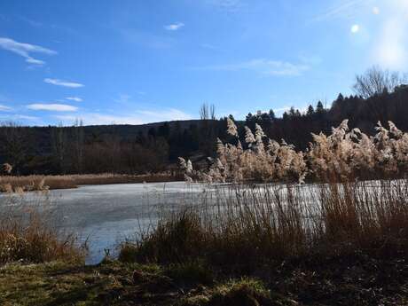 Sortie naturaliste