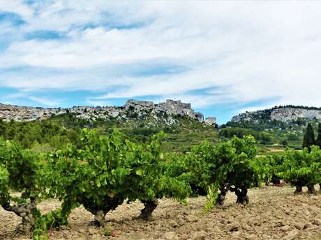LES BAUX DE PROVENCE - The Baumayrane ridges