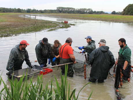 Kommentiertes Teichangeln