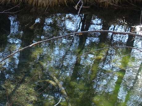 Sortie grand public autour des Nays