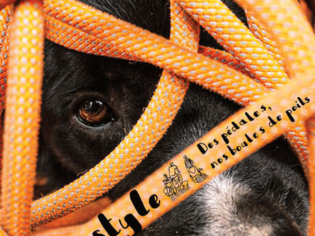 Film screening – Alpine Trilogy – doggystyle