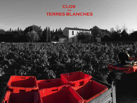 Clos des Terres Blanches