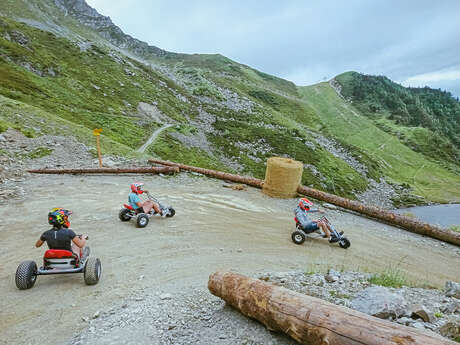MountainCart