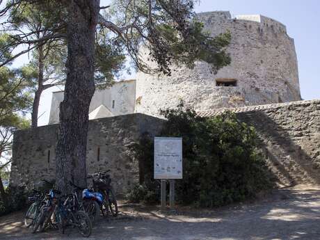 Découverte de Porquerolles à vélo Découverte de Porquerolles à vélo