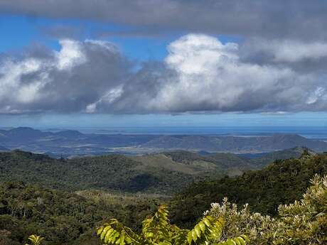 パノラマ遊歩道