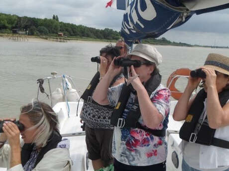 Balade nature en voilier vers l'île Madame