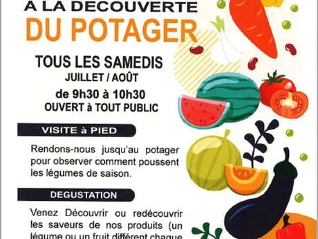 A la découverte du potager