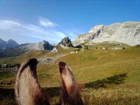 Randonnée montagne avec des ânes : 4 jours Tour du Charbon