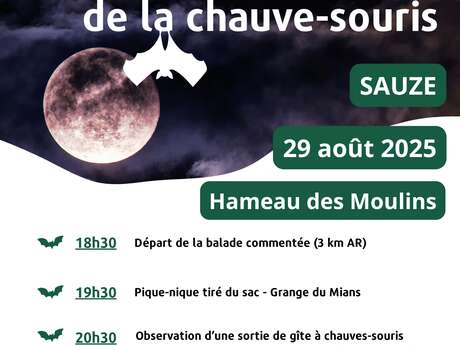 Nuit internationale de la chauve-souris