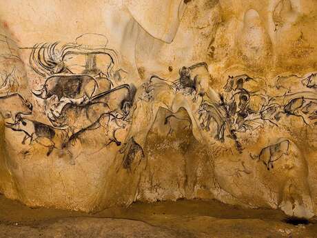 Exposition multimédia «La fabuleuse Grotte Chauvet"