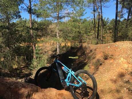 Accompagnement découverte à vélo de la Provence