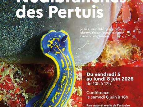 Exposition photographique : Nudibranches des pertuis