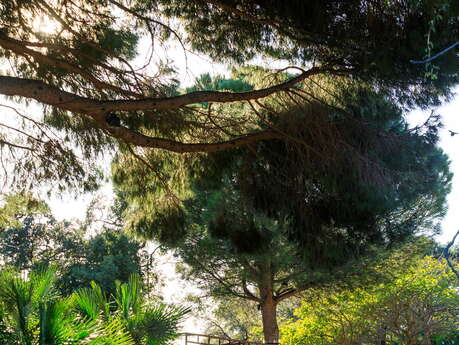 Le Café des Jardiniers