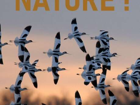 Objectif nature - Sorties nature avec Hervé Roques