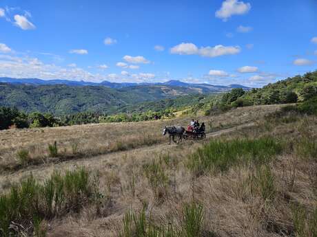 Balade en calèche