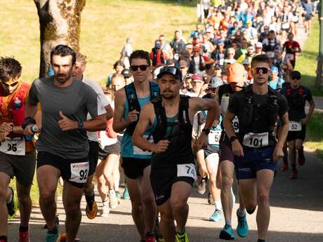 Trail de la Fleur du Roy