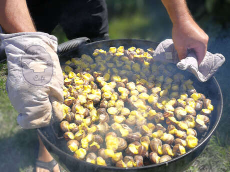 L'escargot des Valanques