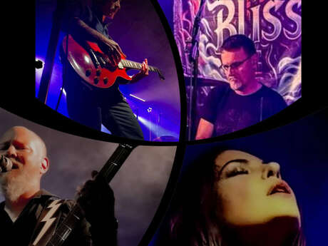 Bliss Band - Festival Improbable