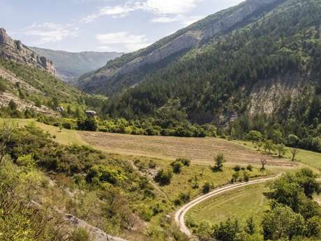 Sortie Natura 2000 : L'Homme, un mammifère dans le vivant à Saint-Genis