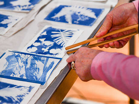 Atelier cyanotype au muséum des sciences naturelles