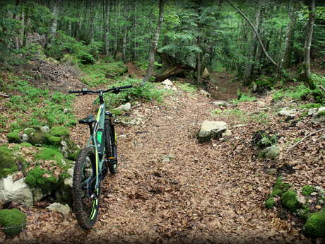 Piste VTT FFC noire 10 - La Féclaz