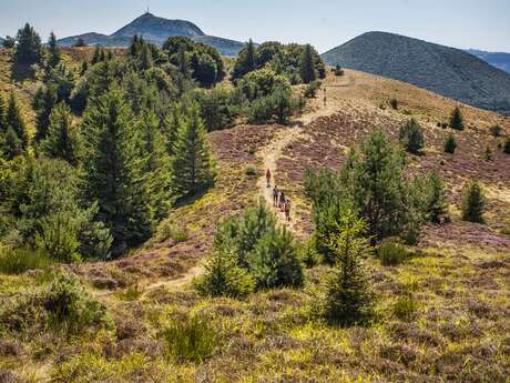 Les puys Chopine et des Gouttes