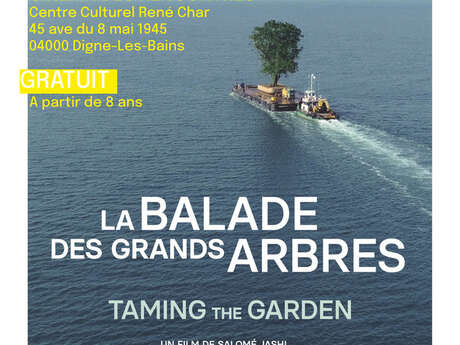 Projection : La balade des grands arbres