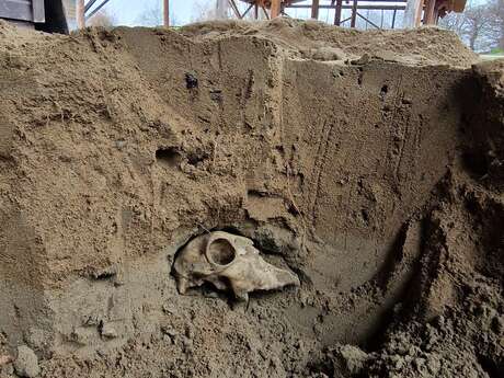 Fouille archéologique