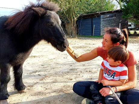 Écuries les Clés du Tao
