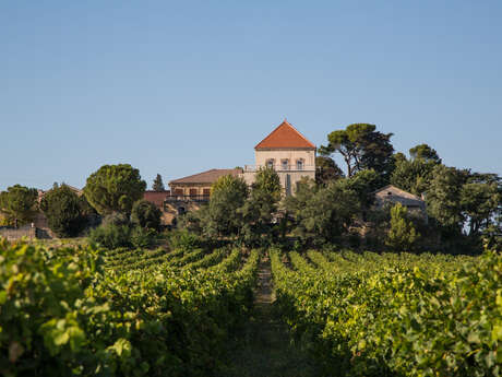 Château de Ruth