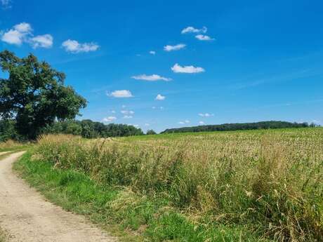 MTB-VTC route no. 13 (red) - Les chemins de St Jean