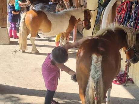 Easter holiday courses to prepare for federal exams - Terre et Ciel riding centre