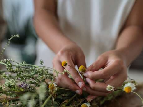 Les trésors des plantes sauvages – Balade et atelier baume naturel