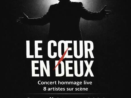 Concert : Johnny Le cœur en deux
