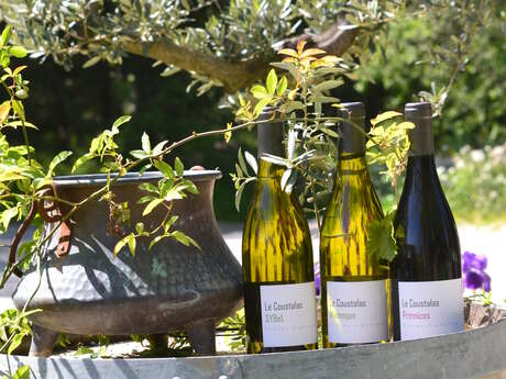 Domaine le Coustalas