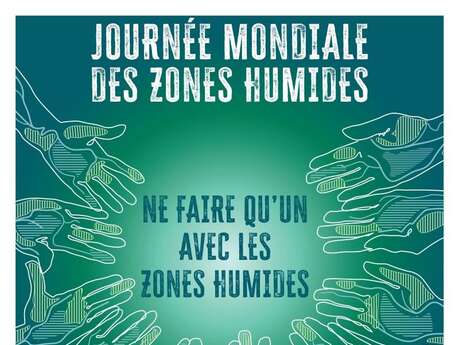 World Wetlands Day in Arles and the Camargue