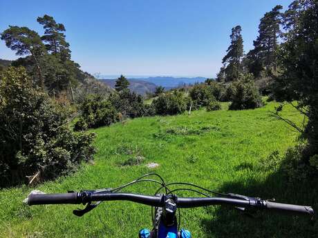 Circuit VTT N°51 XC de Dormioule