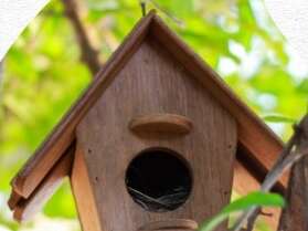 Atelier "Oiseaux et nichoirs" - L'envers du Grenier