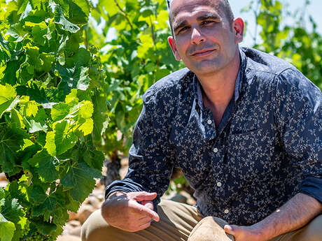 Trip in Provence The French Art de Vivre