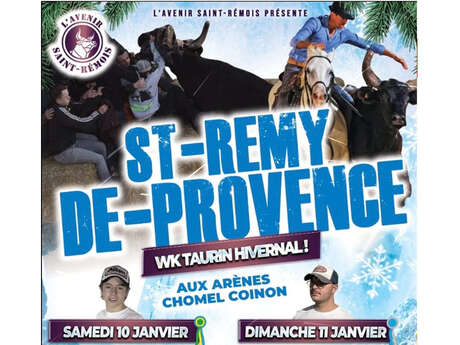 Week-end hivernal à Saint-Rémy-de-Provence