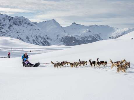 Chiens de traineaux et igloos - Alpi Traineau