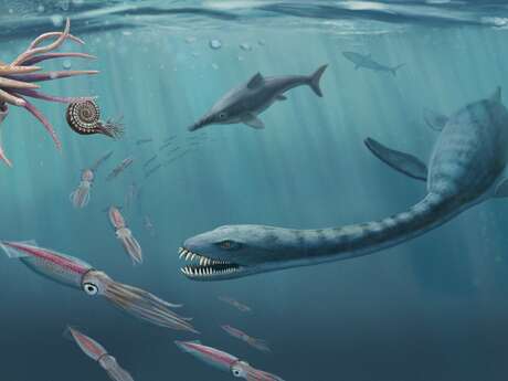 Rendez-vous Pays d'art et d'histoire