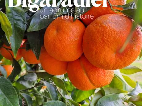 Exposition - Bigaradier, un agrume au parfum d'histoire