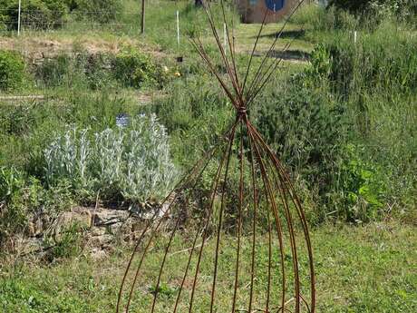 Stage "Vannerie au jardin"
